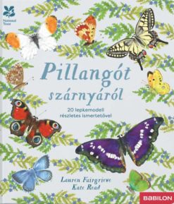 Pillangót szárnyáról