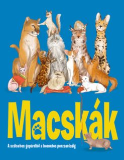 Macskák