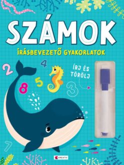 Számok - Írásbevezető gyakorlatok