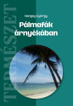 Pálmafák árnyékában