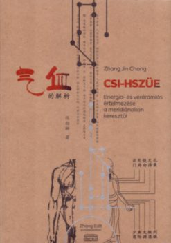 Csi-Hszüe - Energia és véráramlás értelmezése a meridiánokon keresztül