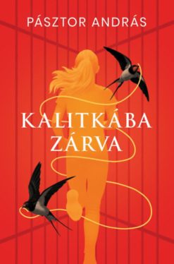 Kalitkába zárva