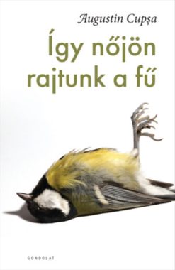 Így nőjön rajtunk a fű