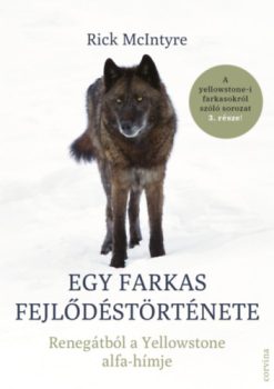 Egy farkas fejlődéstörténete