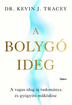 A bolygóideg