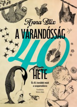 A várandósság 40 hete
