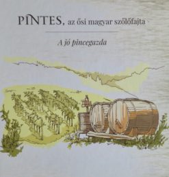 Pintes, az ősi magyar szőlőfajta