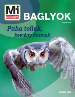 Baglyok - Mi MICSODA ÚJ