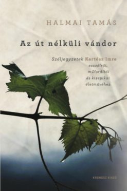 Az út nélküli vándor