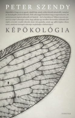 Képökológia