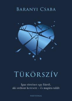 Tükörszív