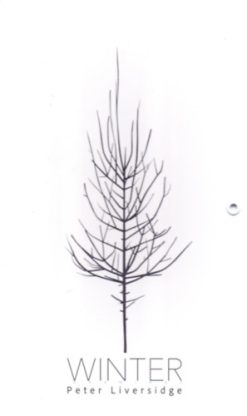 Winter - Művészeti leporelló babáknak