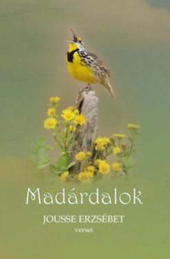 Madárdalok