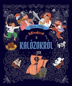 Mindent a kalózokról