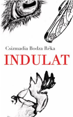 Indulat