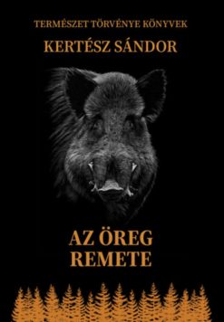 Az öreg remete