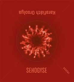 Sehogyse