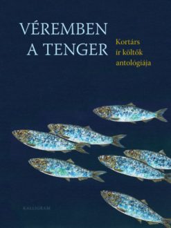Véremben a tenger