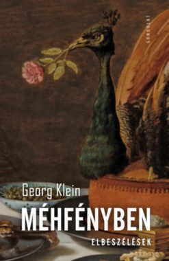 Méhfényben