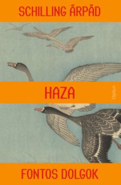 Haza