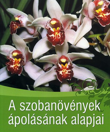 A szobanövények ápolásának alapjai